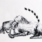 Animal Study III / 35.5 x 28 cm / 2009